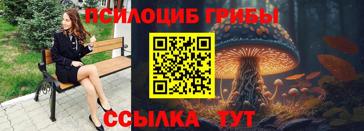 Скопин  Псилоцибиновые грибы GOLDEN TEACHER  купить наркотик  Вход с VPN  Галлюциногенные грибы прущие грибы 